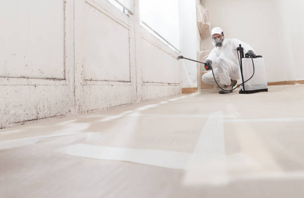 24/7 Emergency Black Mold Removal experts in Winchester, MA
